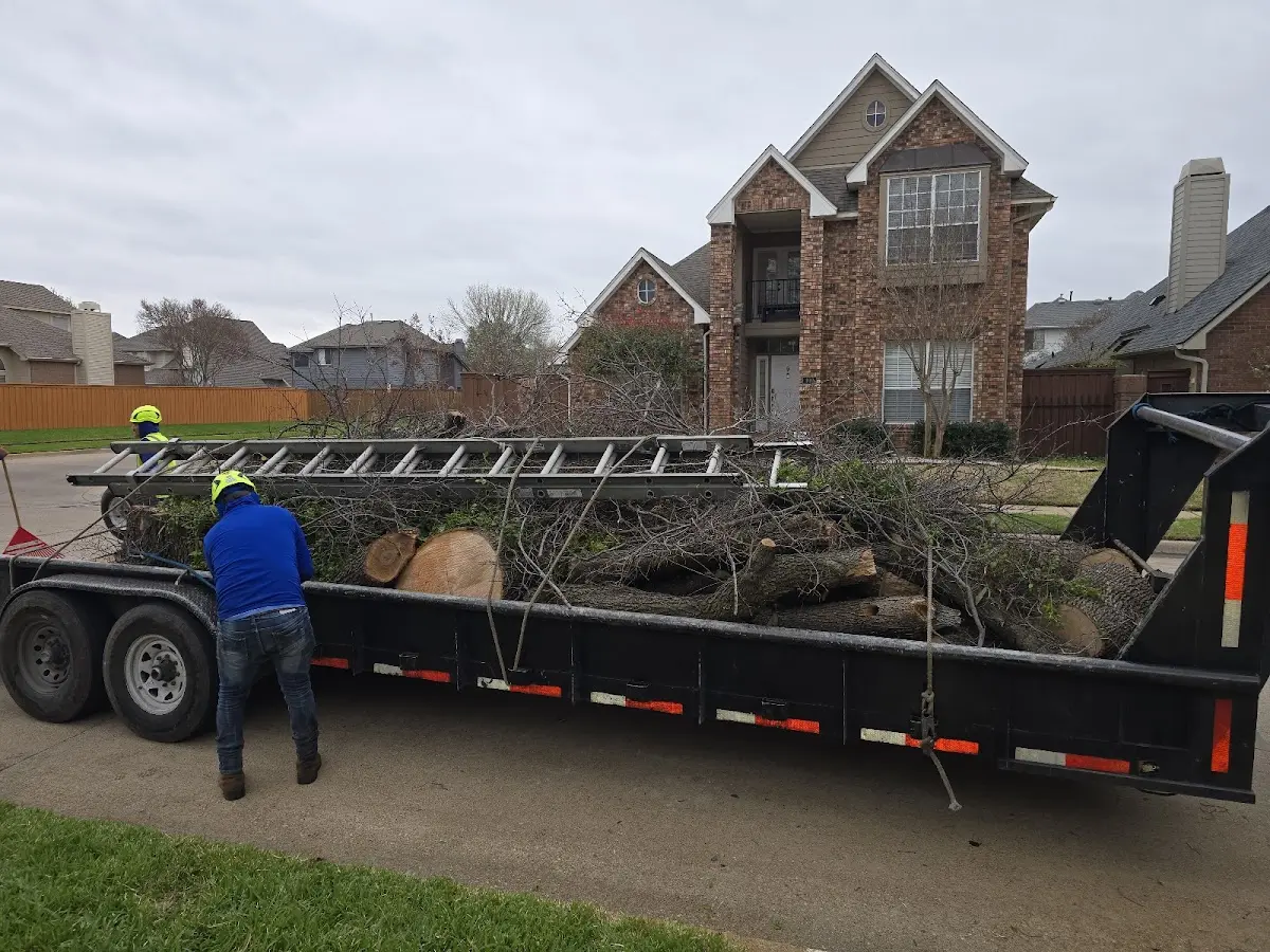 Expert Tree Removal with proper safety equipment in Mckenna